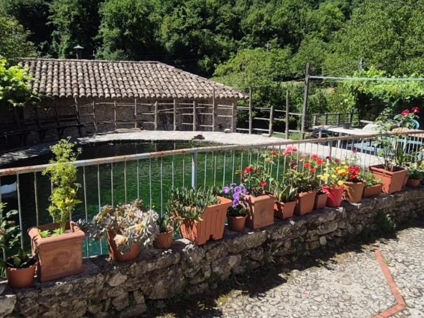 Apartamento Umbria Valnerina , Il Tartuffo, Near Spoleto Scheggino Exterior foto